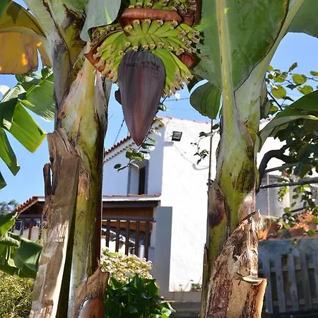 La Berrera Villa Firgas Exterior photo