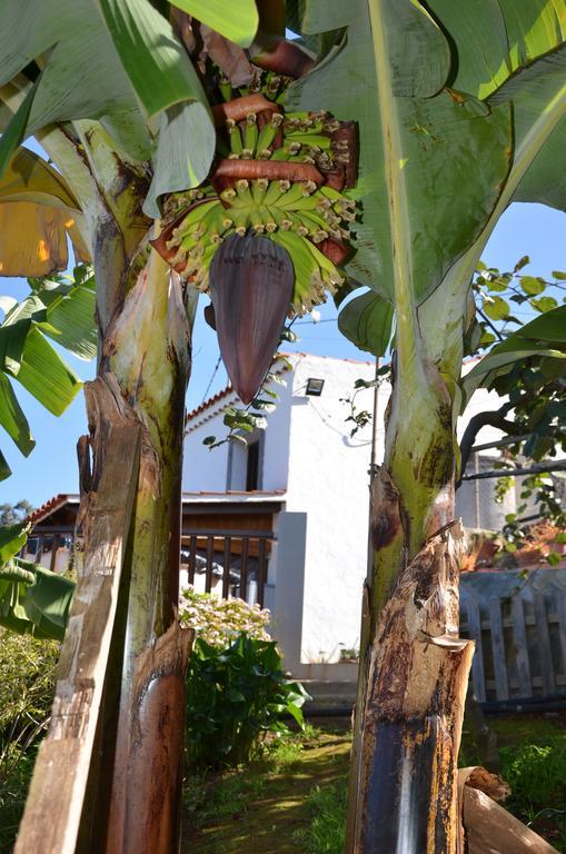 La Berrera Holiday home Firgas